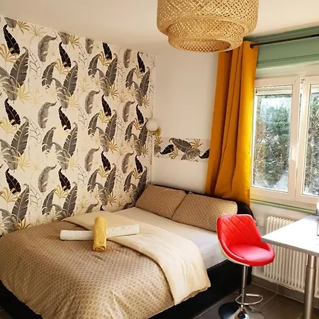 Cocooningspace Tout Equipe + Parking Prive Mülhausen Exterior foto
